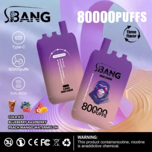 Alternative view of Bang Leader 80K PUFFS 3in1